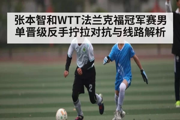 张本智和WTT法兰克福冠军赛男单晋级反手拧拉对抗与线路解析